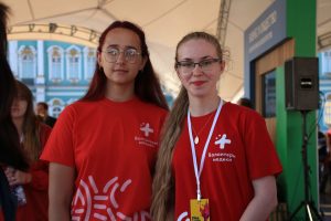 Зона добровольческих организаций